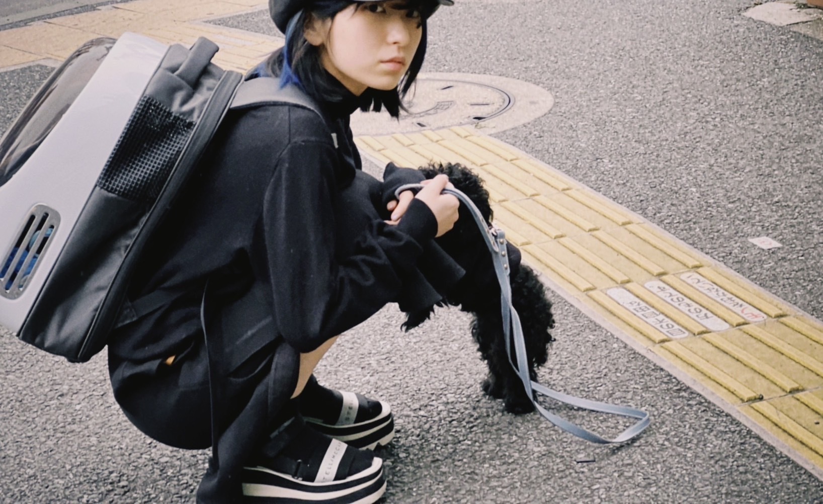 Kore wa inu