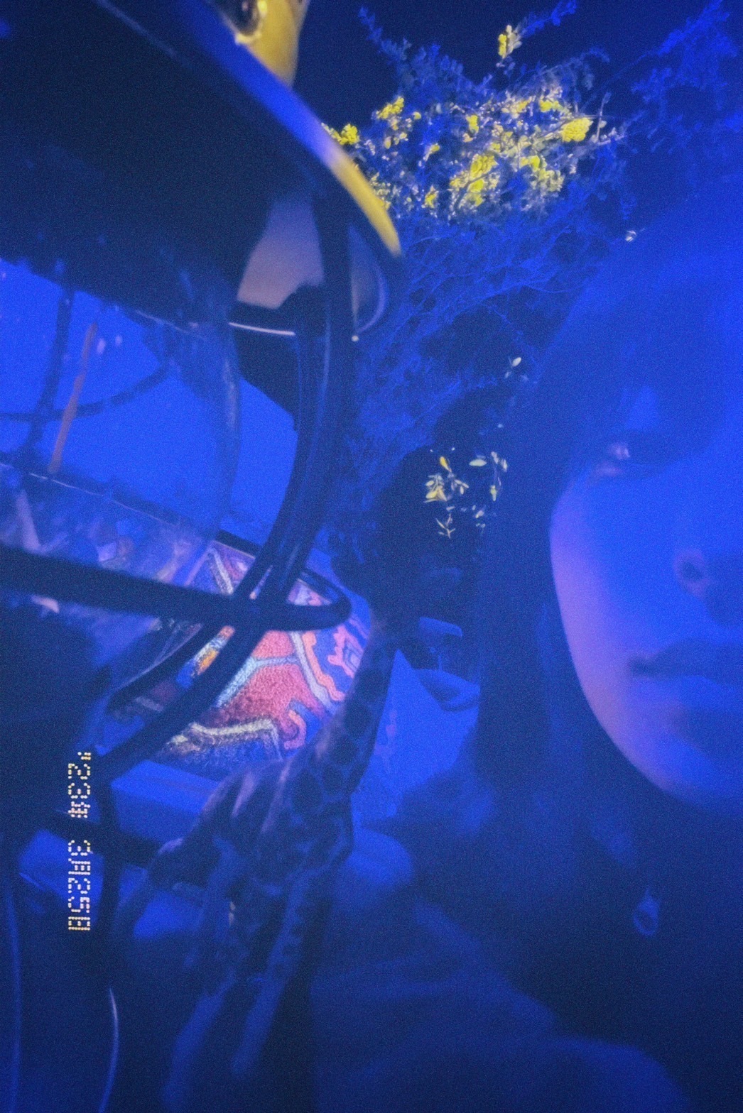 Tsuaa fainaru