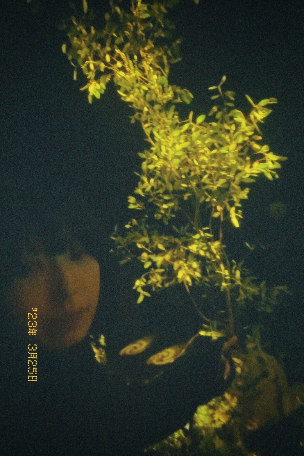 Tsuaa fainaru