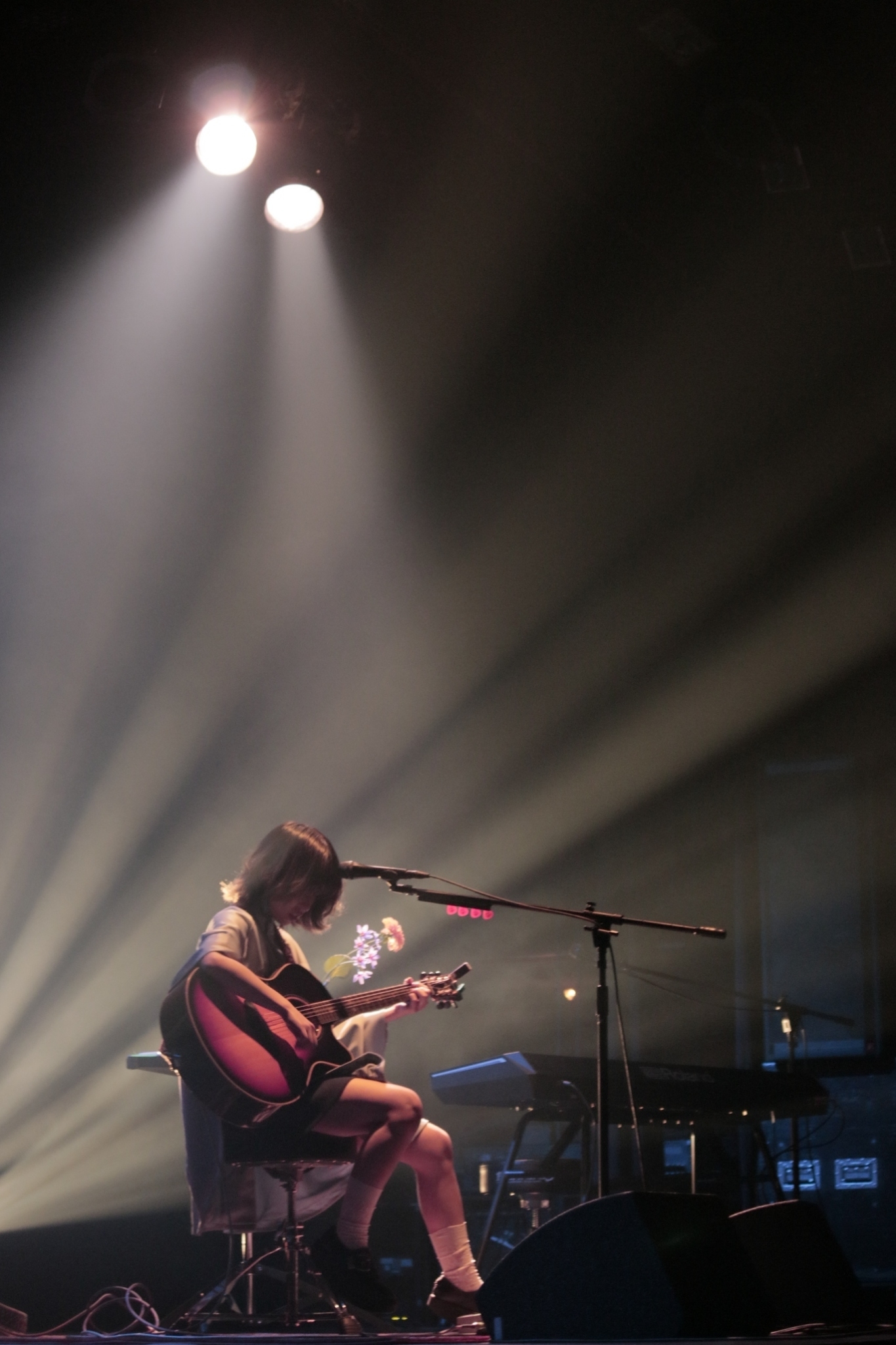image_12.jpg